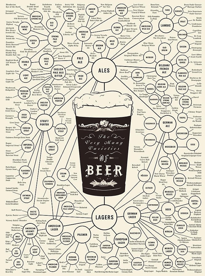 beer styles infographic