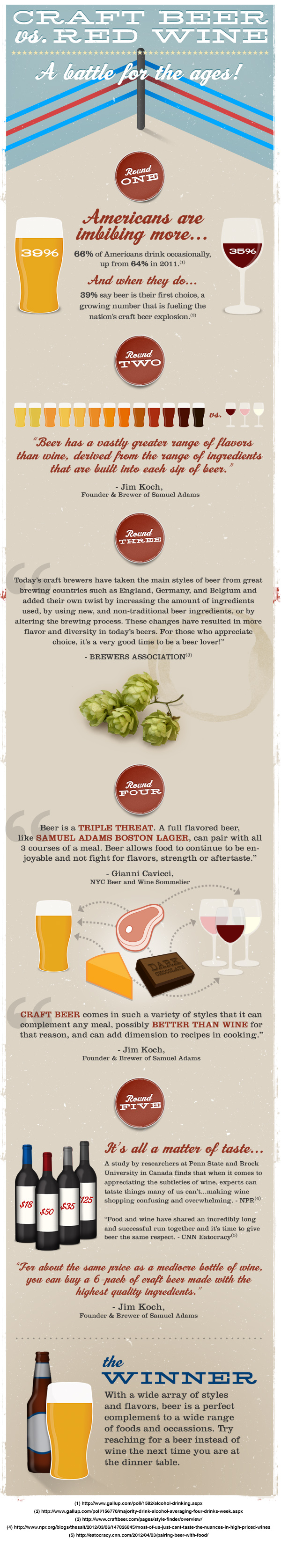 Beer versus Red Wine Infographic